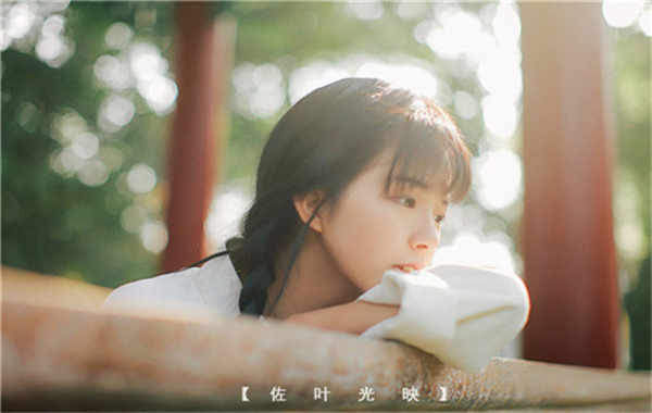 大新胎儿性别鉴定需要多少钱(胎儿性别鉴定的方法)